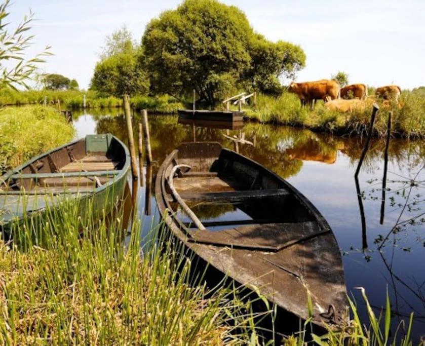 Petit Appartement A La Campagne Proche Mer Missillac ภายนอก รูปภาพ